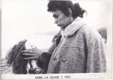 bnk foto - Unde la soare e frig - fotografie de panou 24x18 cm
