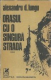 Orasul cu o singura strada - Alexandru D. Lungu