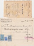Petru Petroviciu Papetarie Timisoara Factura 1934