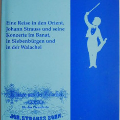 Eine Reise in den Orient. Johann Strauss und seine Konzerte im Banat, in Siebenburgen und in der Walachei – Franz Metz