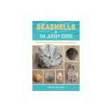 Seashells of the Jersey Shore: Identify and Learn about the Shells You Find on the Beach