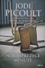 Nouasprezece minute - Jodi Picoult - Roman Beletristica