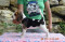 Foto  - 3