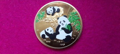 MEDALIE PANDA foto