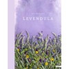 Levendula - Beh Mariann
