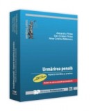 Urmarirea penala. Aspecte teoretice si practice. Modele de acte procesuale si procedurale. Editia a II-a revazuta si adaugita - Alexandru Pintea, Dan-