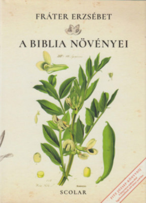 A Biblia n&amp;ouml;v&amp;eacute;nyei - Fr&amp;aacute;ter Erzs&amp;eacute;bet foto