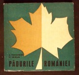 PADURILE ROMANIEI-S. PASCOVSCHI, D. SBURLAN-364186