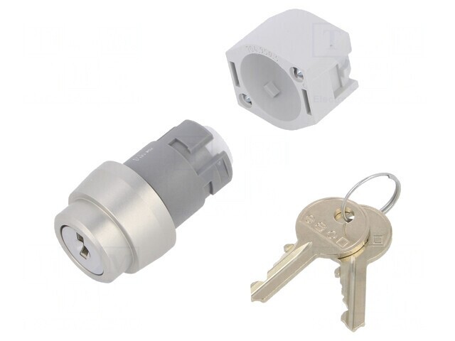 Comutator Rotativ cu Cheie 22mm 2 Poziții Argintiu