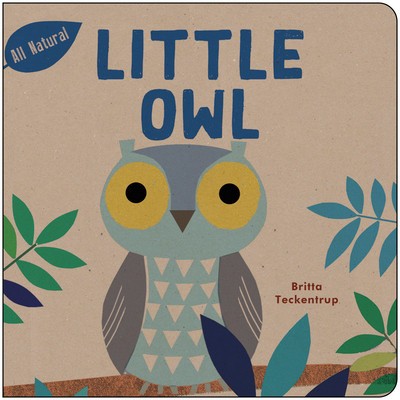 Little Owl foto