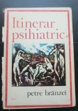 Itinerar psihiatric - Petre Br&acirc;nzei