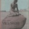 Vasile Ileasa - Copenhaga. Mica Sirena