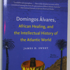 DOMINGOS ALVARES , AFRICAN HEALING , AND THE INTELLECTUAL HISTORY OF THE ATLANTIC WORLD by JAMES H. SWEET , 2011