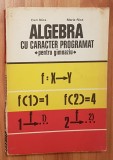 Algebra cu caracter programat de Dan si Maria Nica