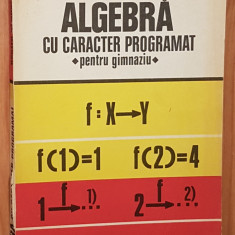 Algebra cu caracter programat de Dan si Maria Nica