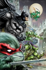 Batman/Teenage Mutant Ninja Turtles Deluxe Edition foto