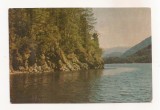 FA136 -Carte Postala- RUSIA - Altai Mountain. Lake Teletskoe, necirculata 1967