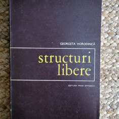 GEORGETA HORODINCA - STRUCTURI LIBERE