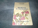 S CORLATEANU - VALORIFICAREA FRUCTELOR DE PADURE