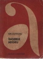 Ingerul negru foto