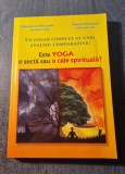 Un dosar complet al unei analize comparative Este Yoga o secta G. Bivolaru