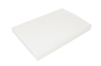 Filtru polen SRL S11-2020 foto