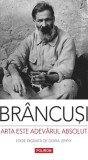 Carte Constantin Brancusi Arta este adevarul absolut Non-fictiune Polirom Paperback