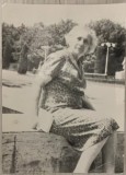 Anii 60 Foto mama lui Georges Dumitresco la Bucuresti, semnata olograf de pictor