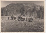 M5 B90 - FOTO - FOTOGRAFIE FOARTE VECHE - grup la munte - anii 1950