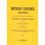 A montenegroi fejedelems&eacute;g t&ouml;rt&eacute;nete - A legr&eacute;gibb időtől fogva az 1852-ik &eacute;vig - Andric S&aacute;ndor