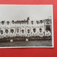 Dolj Craiova Fotbal Universitatea Craiova foto football team