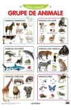 Plansa: Descopera! Grupe de animale