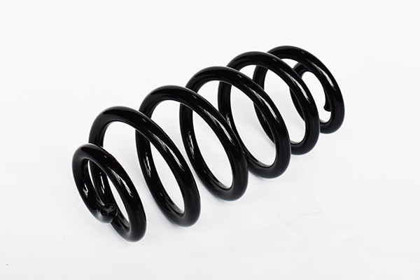 Arc Suspensie Spate 65913 SR.063