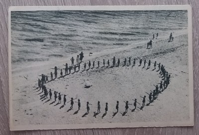 QW27 V - Carte postala - tematica turism - vedere - Romania - Vasile Roaita 6 foto