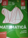 Matematica - Ion Tudor - algebra si geometrie clasa a 8-a - caiet de lucru