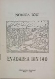Evadarea din iad - Norica Ion - Carte