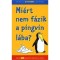 Foto  - 1