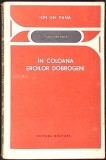 IN COLOANA EROILOR DOBROGENI. DIVIZIA MARASESTI-ION GH. PANA-348299