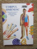 CORPUL OMENESC , O FASCINANTA INCURSIUNE IN TAINELE ALCATUIRII SI FUNCTIONARII CORPULUI OMENESC