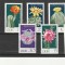 Flora,flori de cactus,DDR!