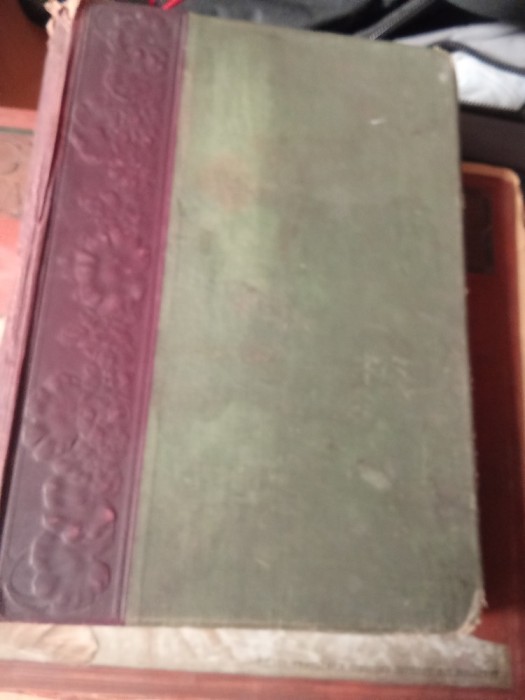 A fold