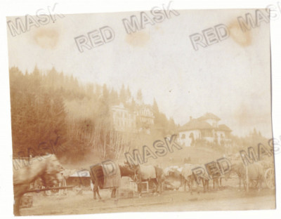 5426 - PREDEAL, Brasov Romania ( 10,5/8,5 cm ) - old postcard, real Photo - 1916 foto