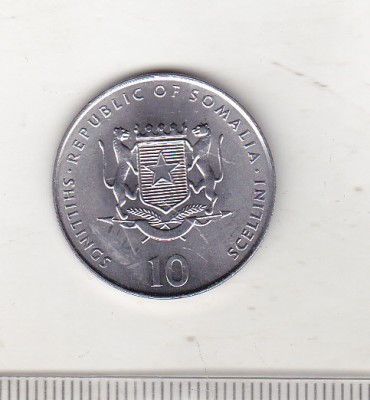 bnk mnd Somalia 10 shillings 2000 unc , porc zodiac chinezesc foto