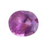 Safir Roz