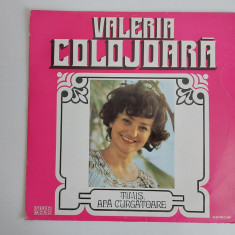 Valeria Colojoara - Timis, apa curgatoare - disc vinil, muzica populara VG+