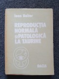 REPRODUCTIA NORMALA SI PATOLOGICA LA TAURINE - Boitor