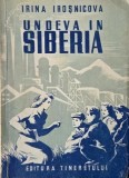 Undeva in Siberia - Irina Irosnicova