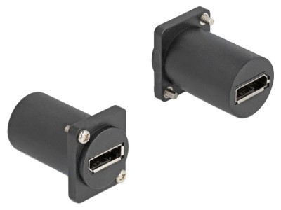 Modul DisplayPort D-Type, DisplayPort soclu foto