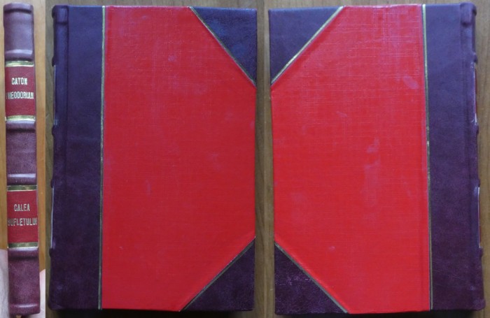 Caton Theodorian, Calea sufletului, 1909, editia 1, legatura in piele