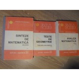 ANALIZA MATEMATICA. TESTE DE GEOMETRIE. SINTEZE DE MATEMATICA VOL.1-3-CATALIN PETRU NICOLESCU-307875